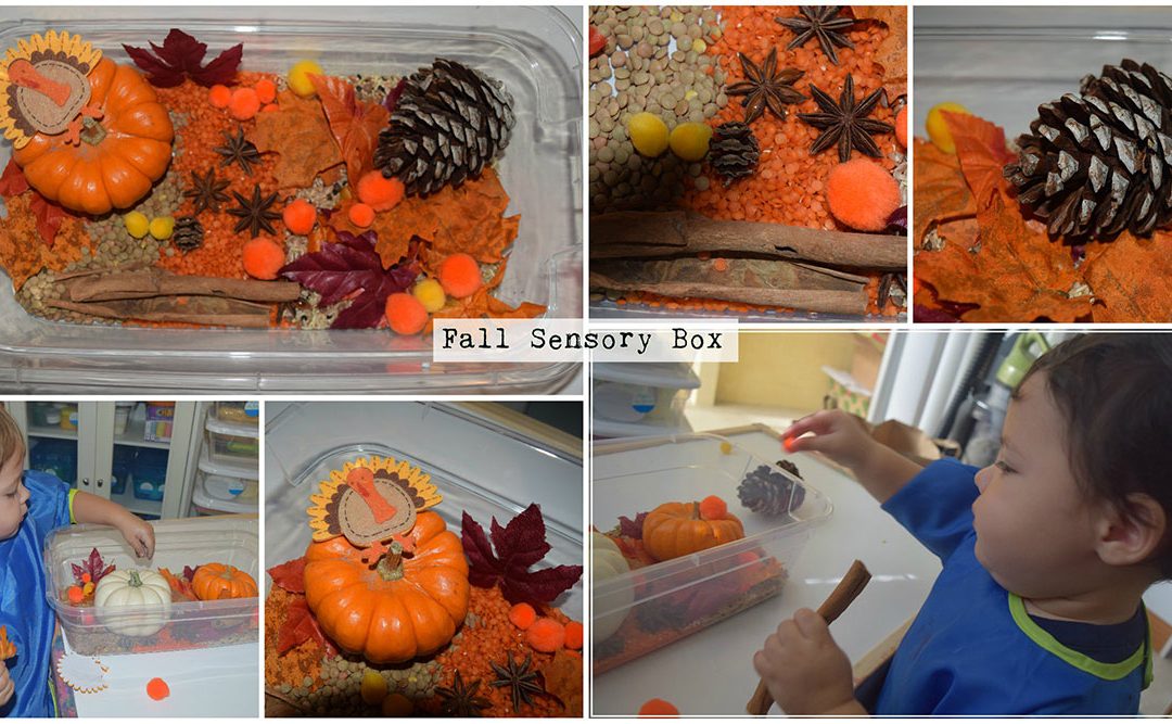 Fall/Autumn Sensory Box